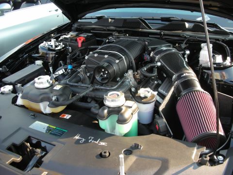 1998 Ford Crown Victoria - Engine bay view of a supercharged V8 motor, likely a Ford Mustang, with custom intake.
