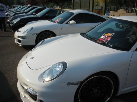 1998 Ford Crown Victoria - Multiple white and black Porsches are lined up in a parking lot on a sunny day.