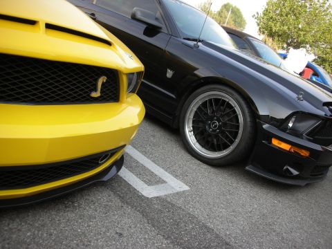 1998 Ford Crown Victoria - Two Ford Mustangs, one yellow and one black, parked side-by-side.