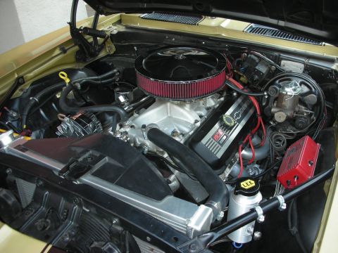 1998 Ford Crown Victoria - Detailed view of a V8 engine bay a large air filter, chrome components, and a prominent red ignition system.