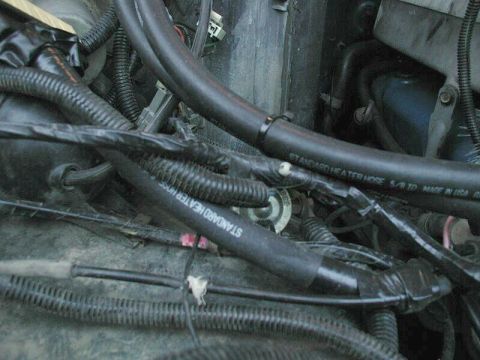 1985 Ford Bronco - Close-up view of engine bay components, including hoses and electrical wiring.