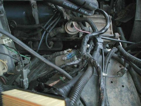 1985 Ford Bronco - Close-up view of the engine bay, highlighting the dual battery setup and intricate wiring harness.