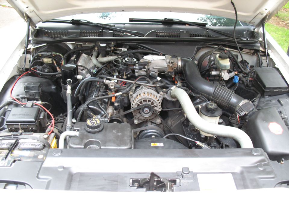 Engine bay of a white Ford Crown Victoria showing a clean 4.6L V8 with black intake and accessories