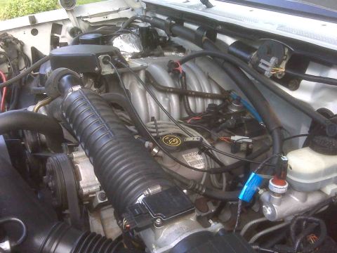 1995 Ford Bronco - The engine bay of a vehicle, showing the intricate network of hoses and wiring connected to the engine block.