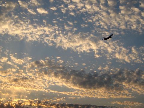 1996 Ford Bronco - An airplane flies through a sky illuminated by the setting sun, with clouds scattered across the horizon.