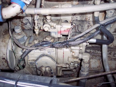 1981 Kenworth W900A - Engine fuel injection pump assembly with various lines and electrical connections visible.