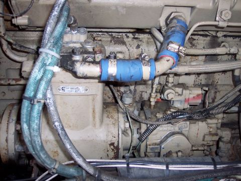 1981 Kenworth W900A - Engine compartment showing various hoses, fuel lines, and mechanical components.