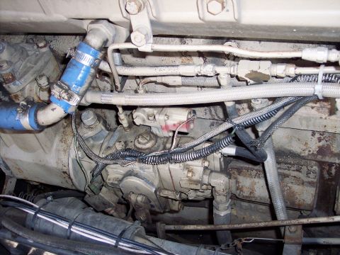 1981 Kenworth W900A - Close-up view of various engine parts and plumbing within a vehicle.