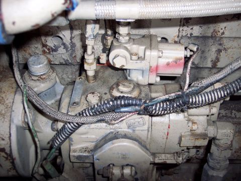 1981 Kenworth W900A - Engine fuel injection pump assembly with visible hoses and electrical wiring.