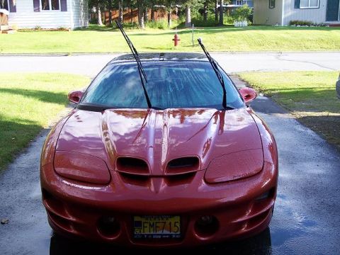 2001 Pontiac Trans Am - Front view of a red 2001 Pontiac Firebird parked on a wet driveway.