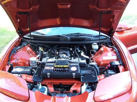 2001 Pontiac Trans Am - The engine bay of a 2001 Pontiac Trans Am is visible with the hood raised, revealing the motor and surrounding components.