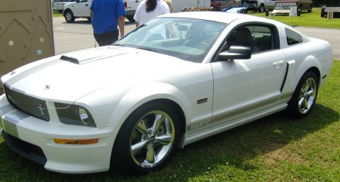 2007 Ford Mustang - White Ford Mustang Shelby GT coupe with silver racing stripes and chrome wheels parked on grass.
