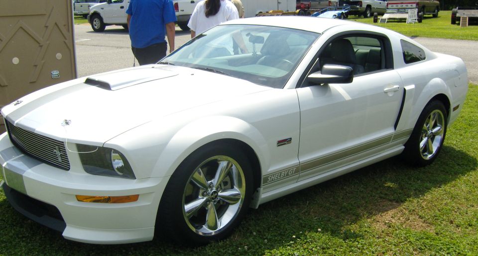 White Ford Mustang Shelby GT coupe with silver racing stripes, chrome wheels, and a hood scoop