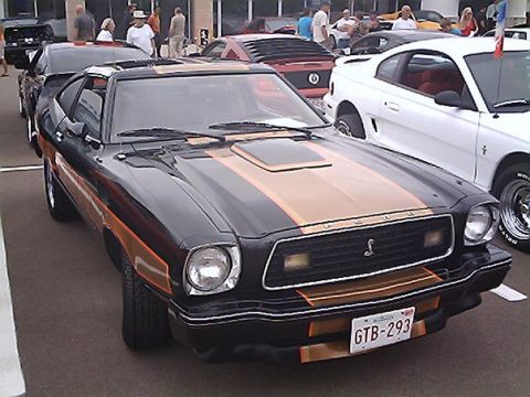 1978 Ford Mustang II - This 1978 Ford Mustang II features a distinctive black and gold color scheme with racing stripes.