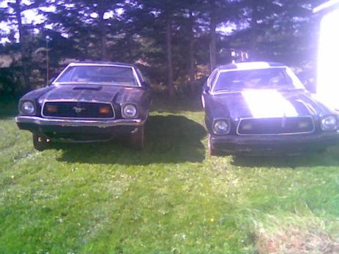 1978 Ford Mustang II - Two 1978 Ford Mustang IIs are parked side-by-side on a grassy area.