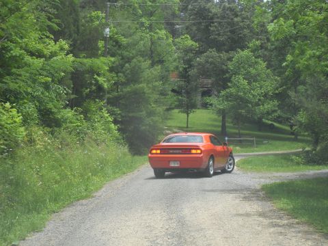 1988 Ford Bronco - A modern Dodge Challenger is seen from behind on a tree-lined gravel road.