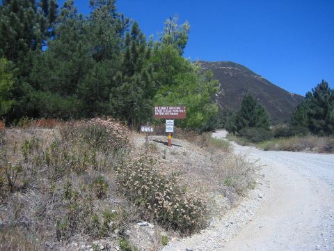 1988 Ford Bronco - forest road marker