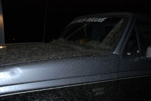 1995 Ford Bronco - The front corner of a muddy 1995 Ford Bronco is visible, with "DELUXE" lettering on the windshield.