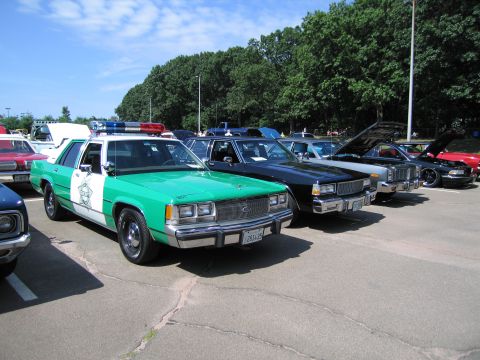 1991 Ford LTD Crown Victoria - green-and-white Ford LTD Crown Victoria sheriff cruiser parked in a row of police cars under trees at a car show.