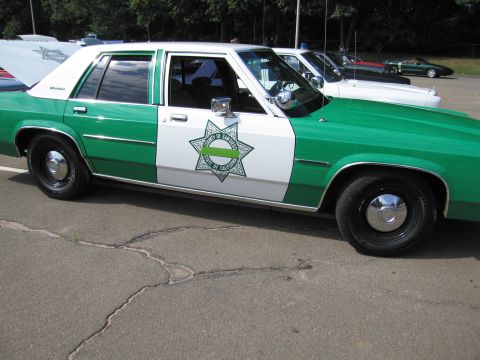 1991 Ford LTD Crown Victoria - Side profile of a green-and-white police sedan with a county sheriff star emblem and spotlight on the door.