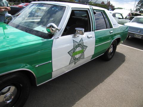 1991 Ford LTD Crown Victoria - Side view of a green-and-white police sedan with a sheriff star door emblem and chrome spotlight at a car show.