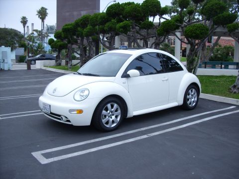 2003 Volkswagen Beetle - Friday evening at Ruby's...