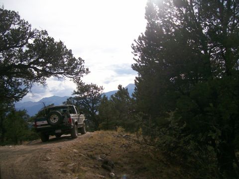 1993 Ford Bronco - A tan 1992 Ford Bronco navigates a dirt road with mountainous scenery in the background.
