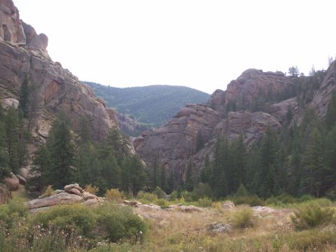 1993 Ford Bronco - A scenic view of a rocky canyon landscape with dense pine trees.