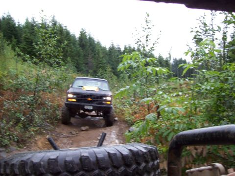 1985 Toyota Pickup/SR5 - Off-road truck navigating a wooded trail in overcast conditions.