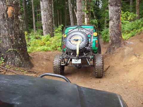 1985 Toyota Pickup/SR5 - Rear view of a modified green 1985 Toyota Pickup/SR5 on a dirt trail, with another vehicle's hood in the foreground.