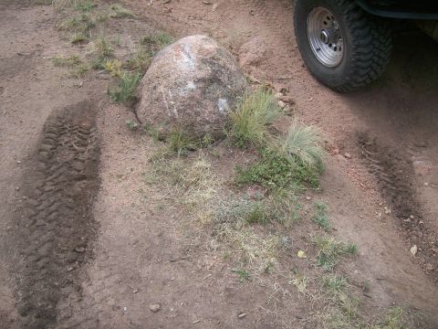 1993 Ford Bronco - Tire tracks and a rock on a dirt path, with a vehicle tire visible on the right.