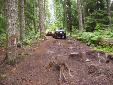 1985 Toyota Pickup/SR5 - Two off-road vehicles navigate a challenging path through a dense forest.
