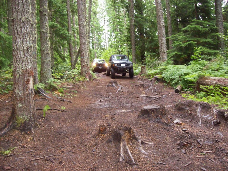 Two SUVs driving on a muddy, tree-lined trail with stumps and ferns