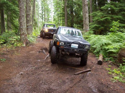 1985 Toyota Pickup/SR5 - Two off-road vehicles navigate a dirt path through a dense forest with tall trees and ferns.