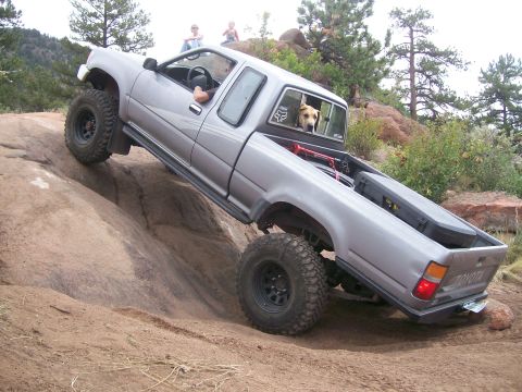 1993 Ford Bronco - A dog watches from the cab of a Toyota pickup as it navigates a steep, rocky incline off-road.