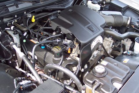 2001 Ford Crown Victoria - The engine bay of a 2001 Ford Crown Victoria is visible, with various components and hoses clearly depicted.