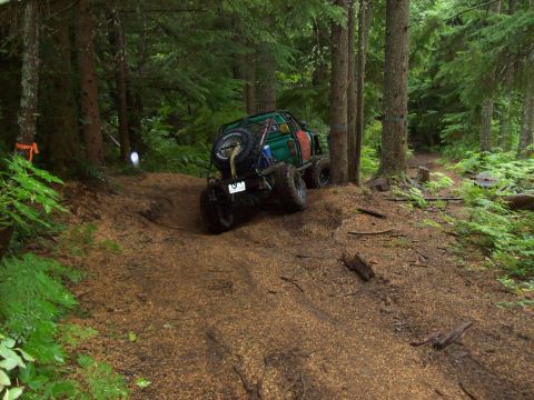 1985 Toyota Pickup/SR5 - An off-road modified truck navigates a wooded trail, its spare tire prominently mounted on the rear.