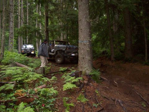 1985 Toyota Pickup/SR5 - Two modified off-road vehicles navigate a wooded trail with dense foliage.
