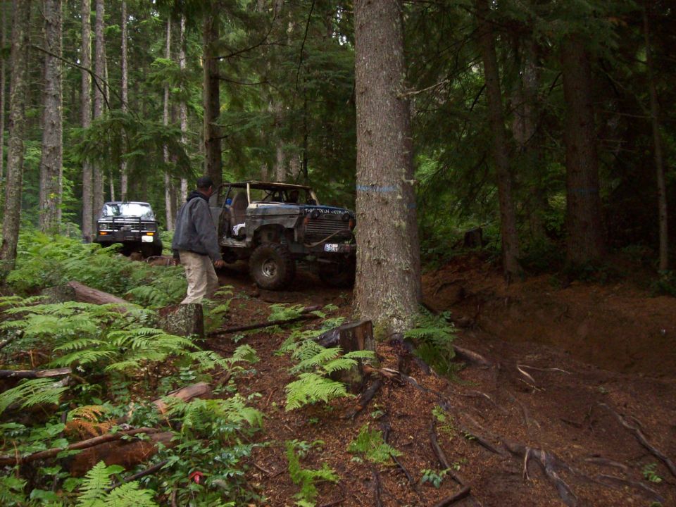 Two off-road vehicles on a forest trail; one is a modified pickup truck, the other is a dark SUV