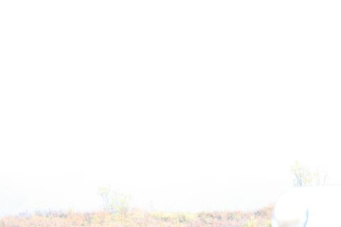 1990 Chevrolet Suburban - A portion of a vehicle is seen against a hazy outdoor backdrop with vegetation.