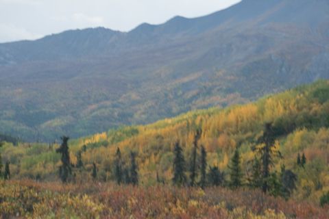 1990 Chevrolet Suburban - A scenic view of mountains and hills covered in trees displaying vibrant fall colors.