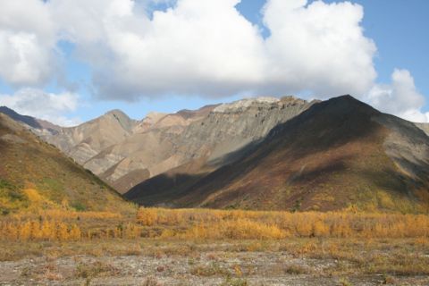 1990 Chevrolet Suburban - A scenic view of mountains and a valley covered in vibrant autumn foliage under a bright sky.