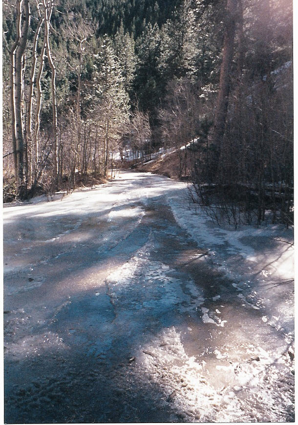 Ice-covered forest road through evergreen and aspen trees in a winter mountain canyon