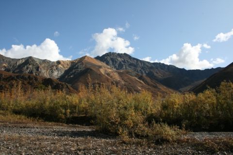 1990 Chevrolet Suburban - A scenic view of mountains and trees in autumn, with a clear blue sky and scattered clouds.