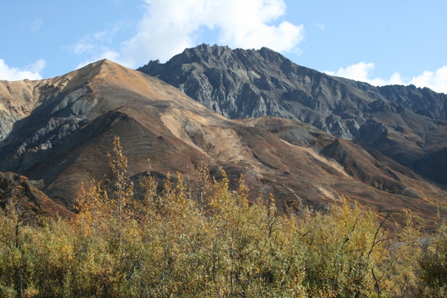 Mountain range with rocky peaks and slopes covered in brown and orange vegetation, foreground has yellow and green bushes