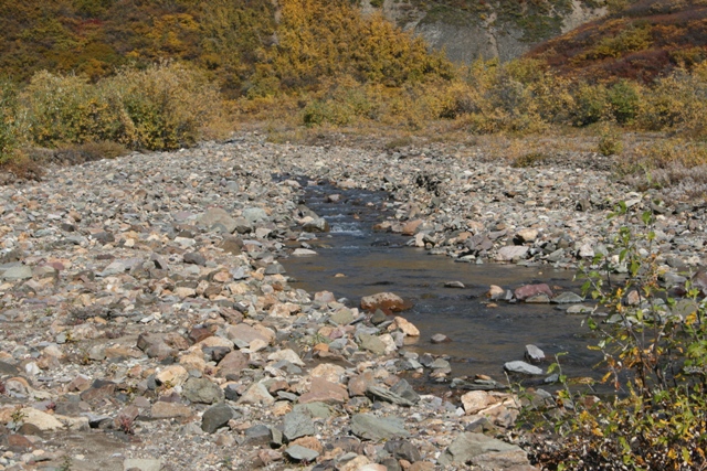 Rocky creek bed with sparse vegetation and autumn colors on the hillside