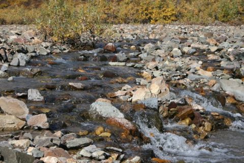 1990 Chevrolet Suburban - A natural scene of a stream flowing over rocks, with autumn foliage visible in the background.