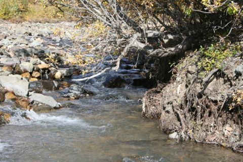 1990 Chevrolet Suburban - A creek flows through a rocky area, with a fallen tree and exposed roots on the bank.