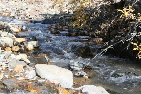 1990 Chevrolet Suburban - A natural scene of a stream flowing over rocks, with tree branches overhead.