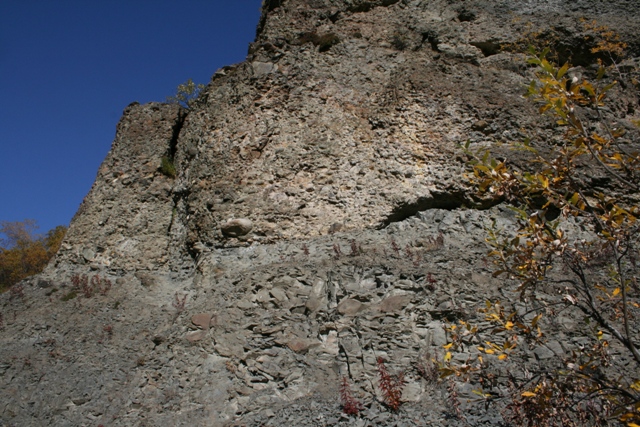 rock face with layers of gravel and stone, some dry leaves on a branch in the foreground, clear blue sky above